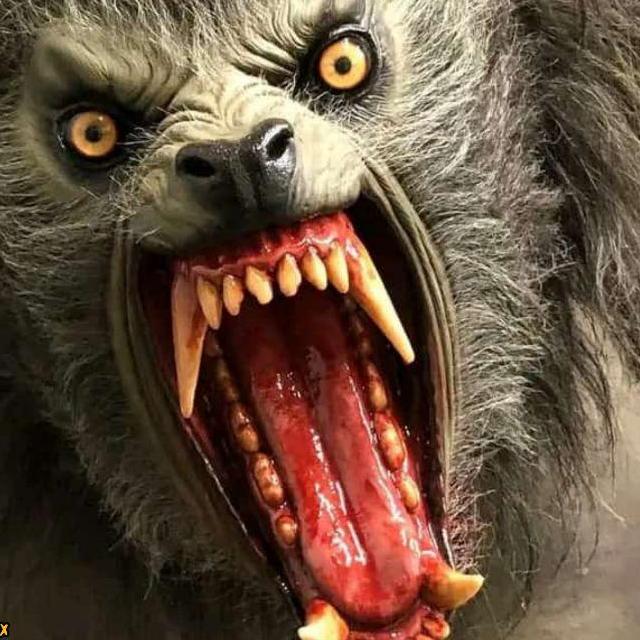BigWolf